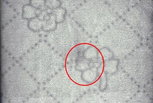 纺织瑕疵检测